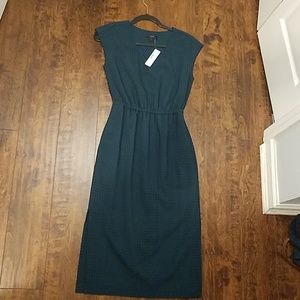 NWT J. Crew dress